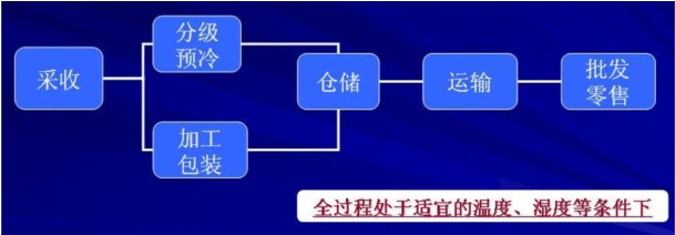 農產品冷鏈物流流程